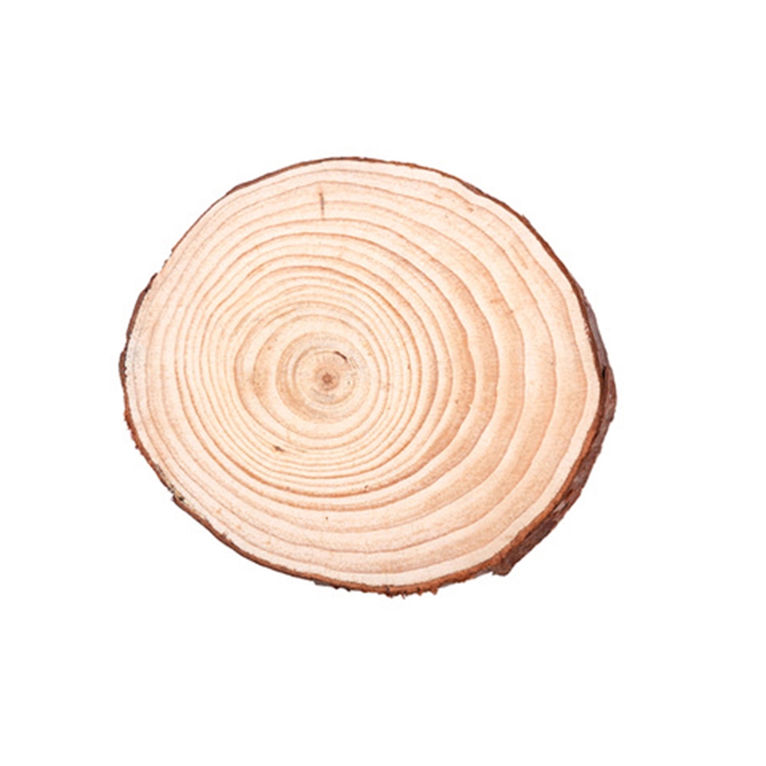 4" Ultra Vivid Wood Sliced Ornament 2
