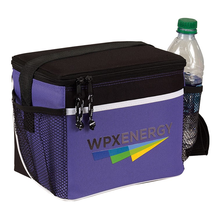 Spectrum Frosted Insulated 6 Pack Cooler 9