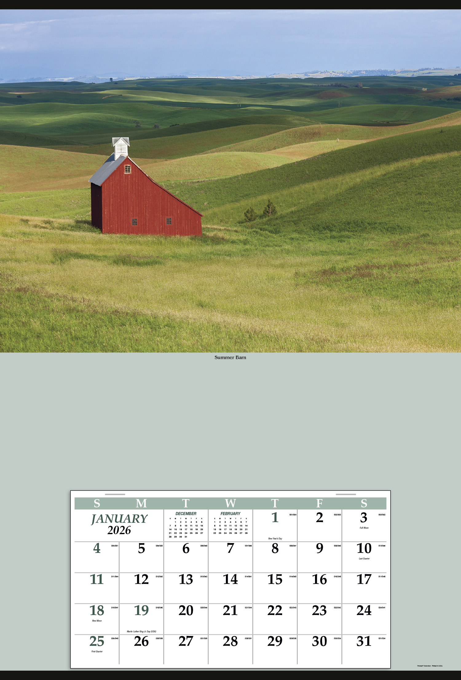 Triumph® Calendars Jumbo Hanger (12-Month) Calendar 9