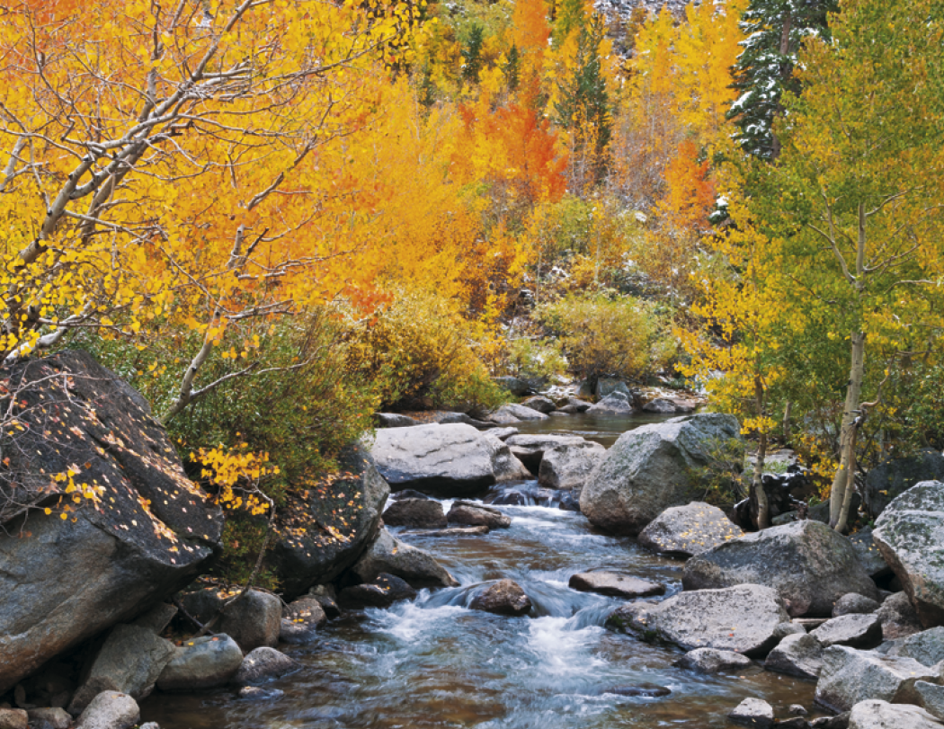 HotLine® Products California Appointment Calendar - Stapled 38