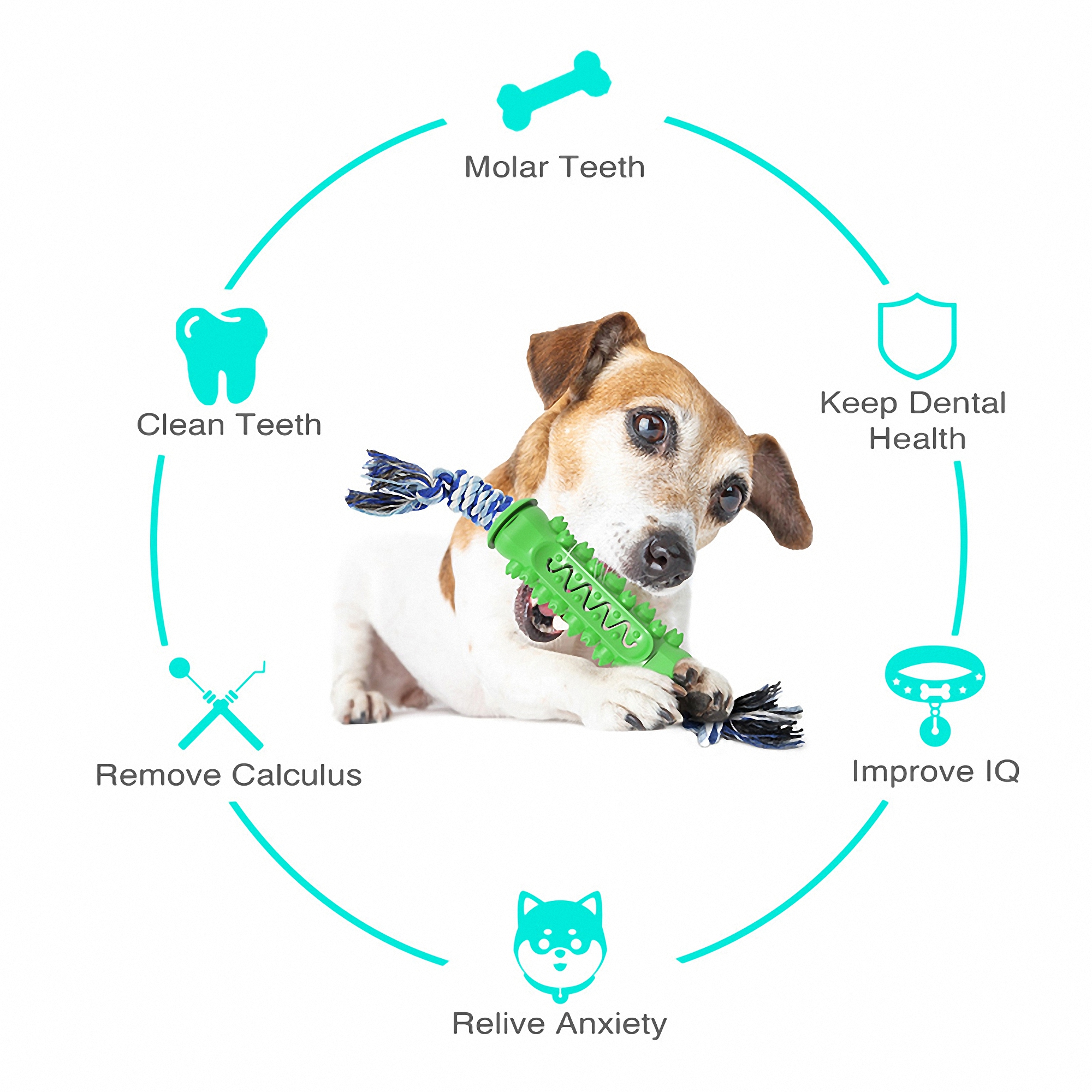 Durable Dog Chew Toys for Aggressive Chewers 5