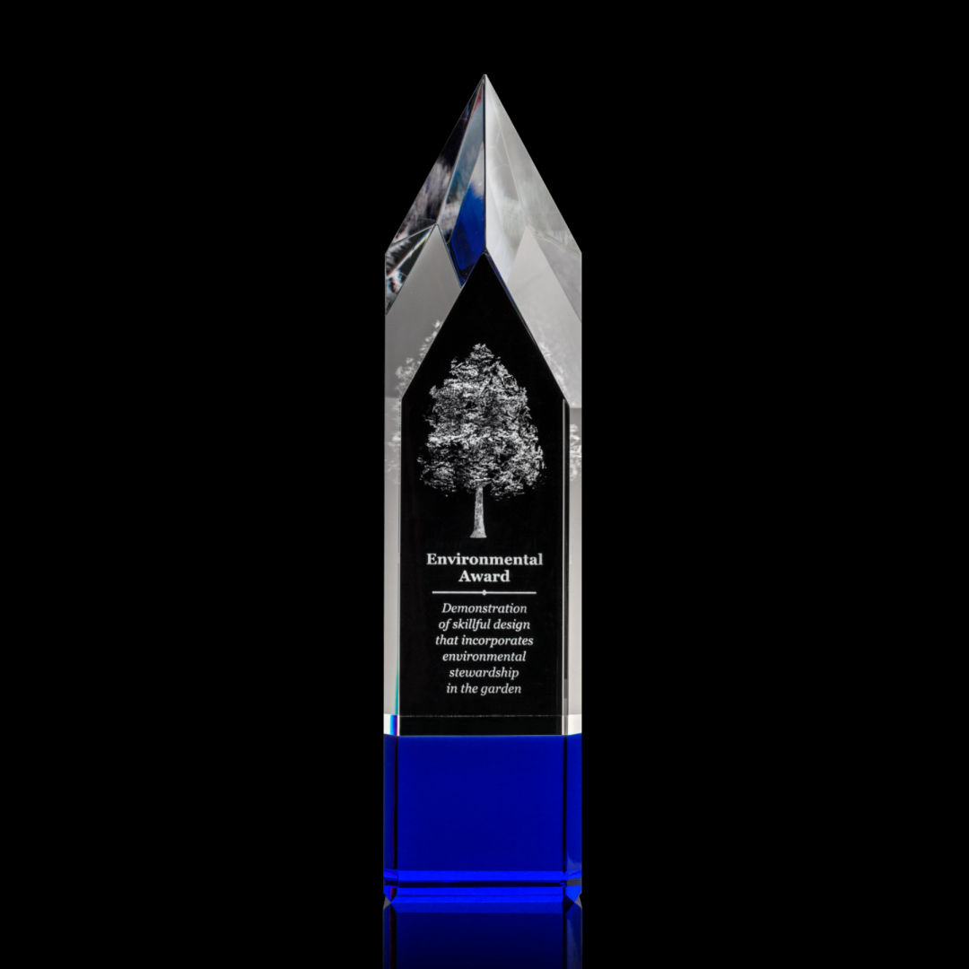 Coventry 3D Award - Blue 4