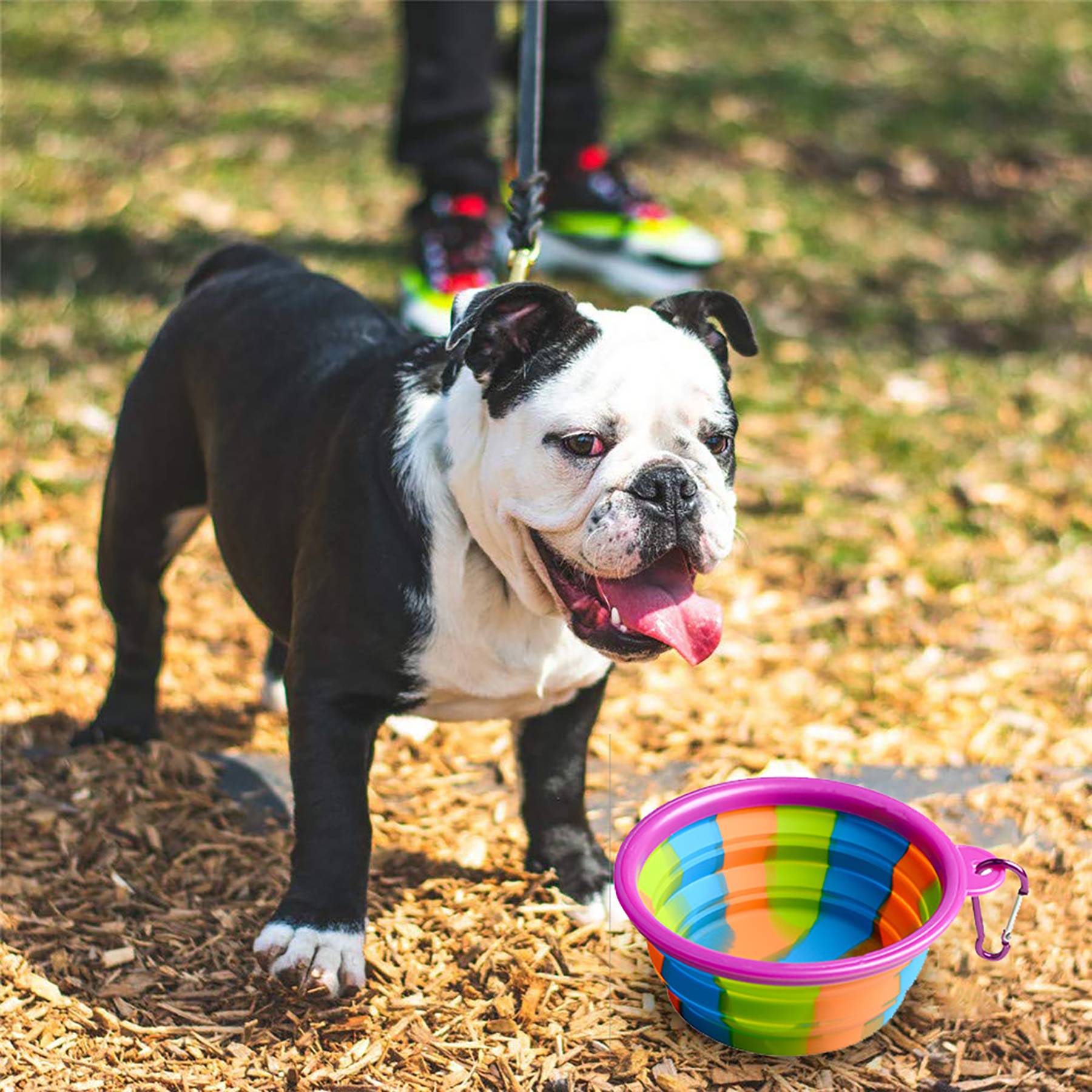Folding Camouflage Pet Dog And Cat Silicone Bowl 5