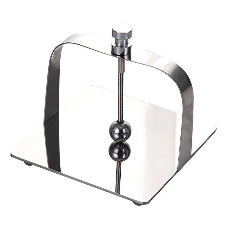 Steel Napkin Holder 2