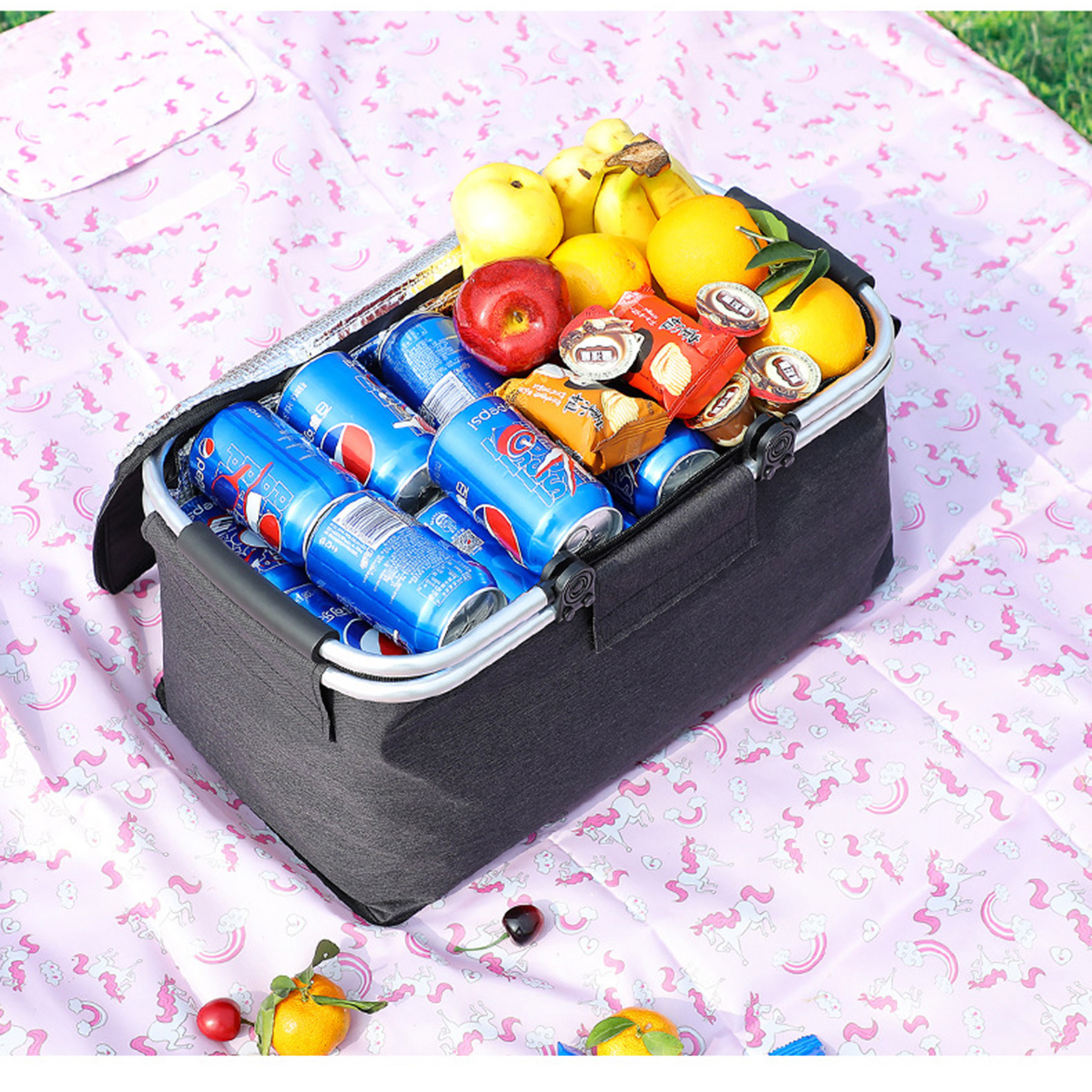 Picnic Cooler Thermal Bag 3