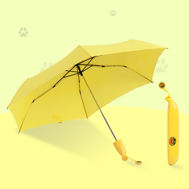 Umbrella 3