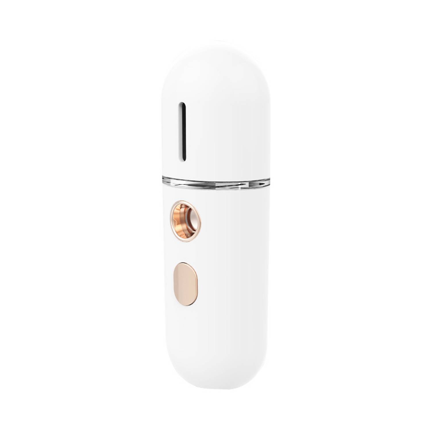 Mini Facial Steamer 2