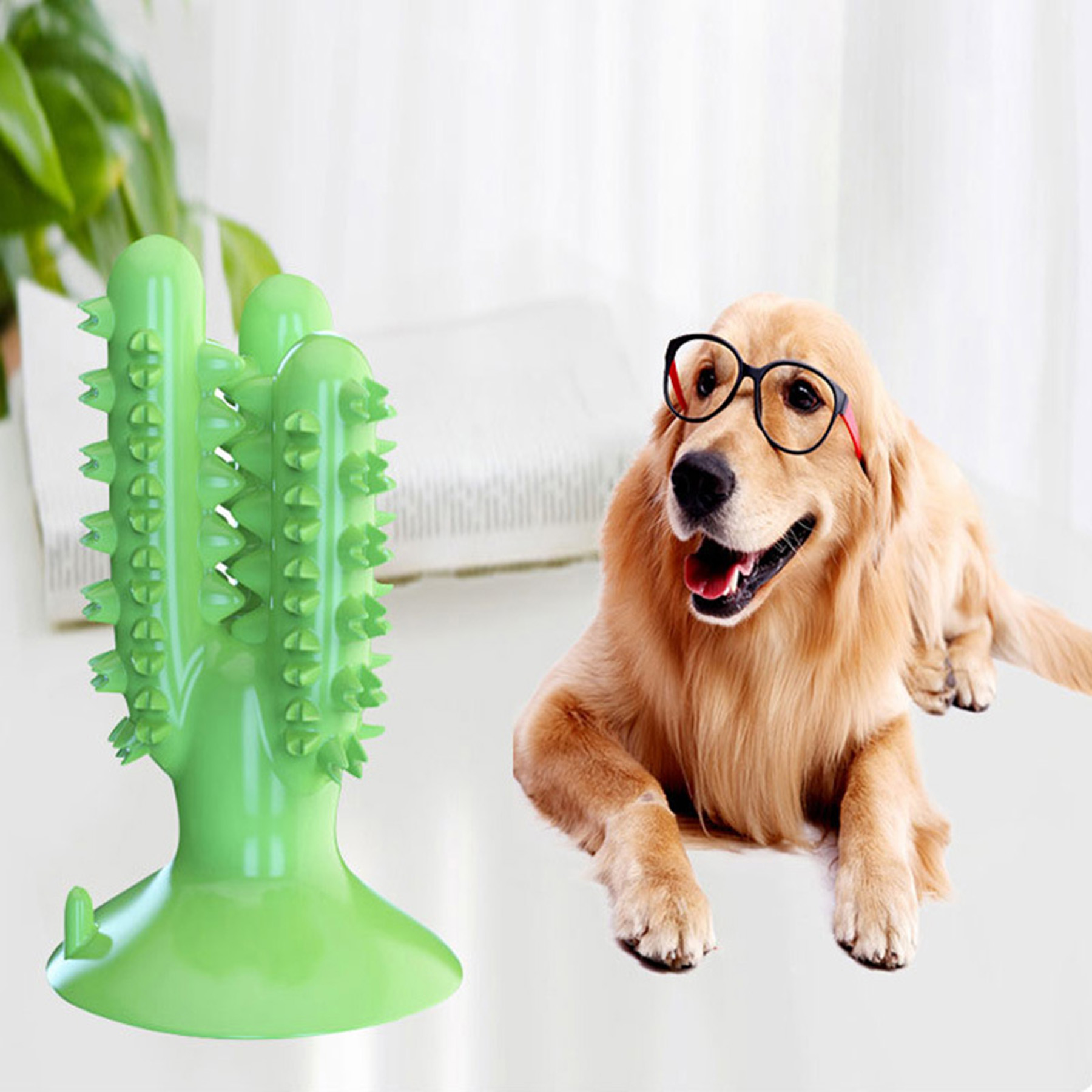 Dog Chew Toothbrush 3