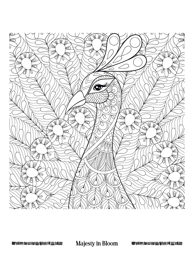 Good Value™ Wild Wonders Adult Coloring Book 22