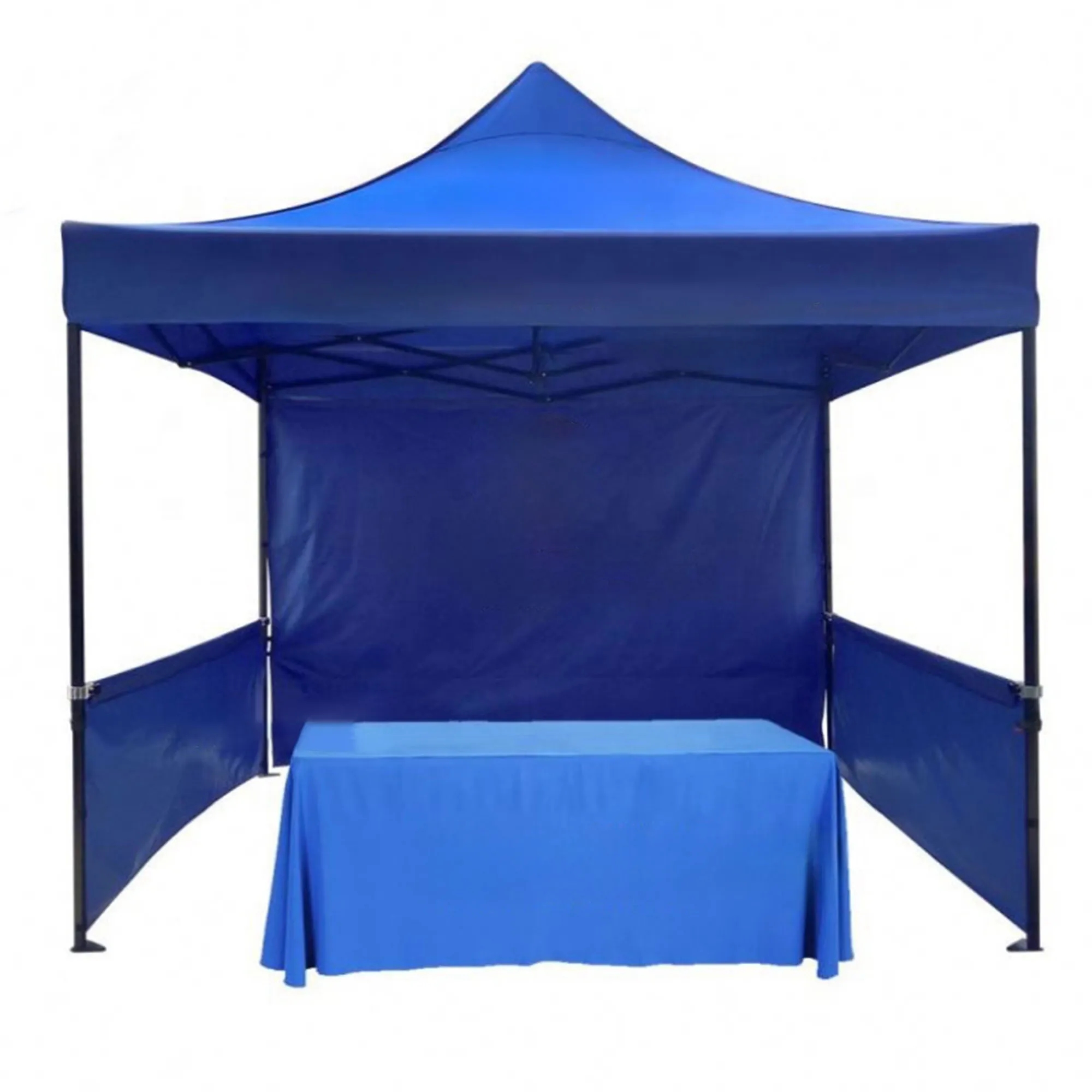 10 Ft Steel Canopy Tents 1