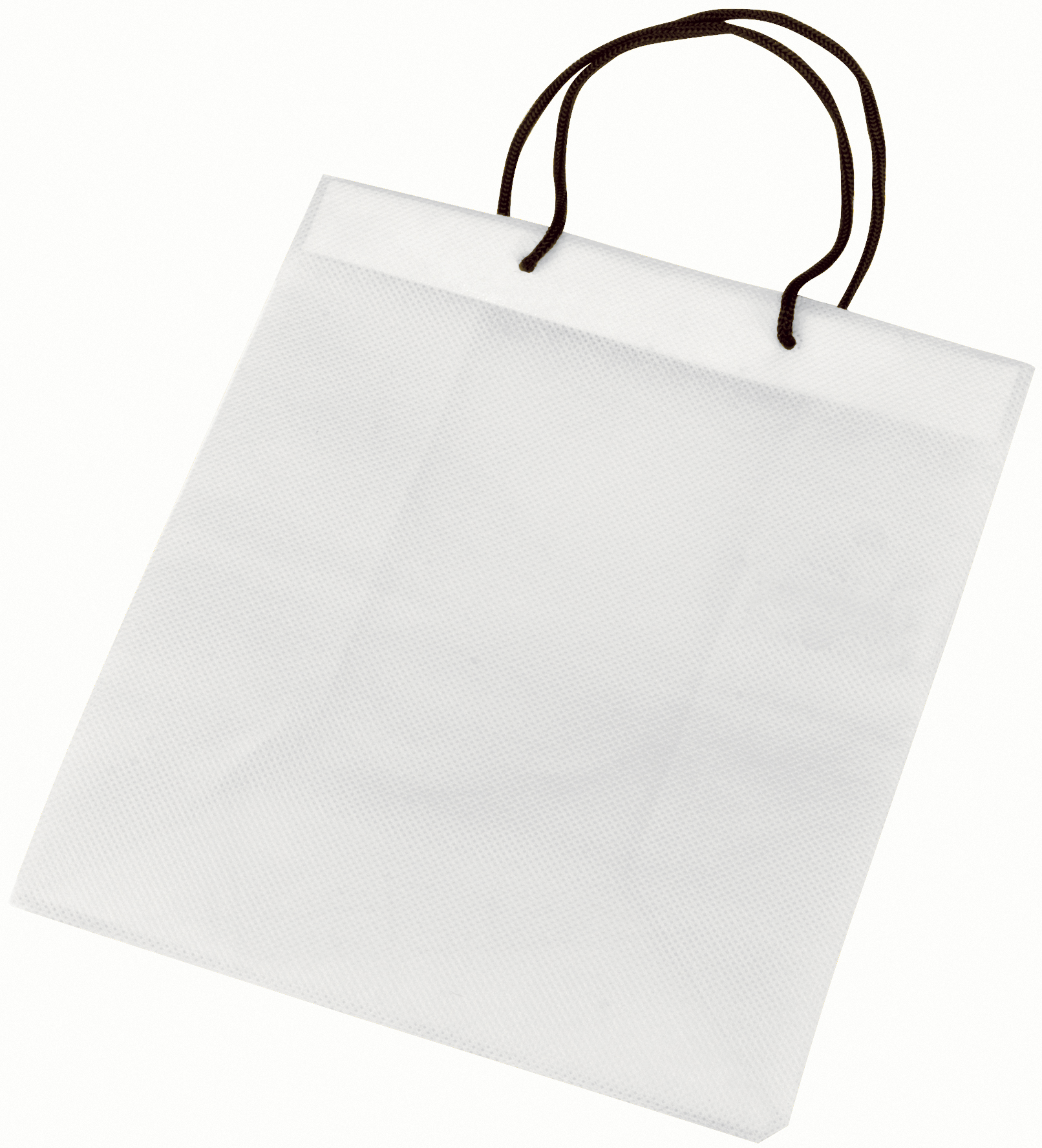 Non-Woven Gift Bag