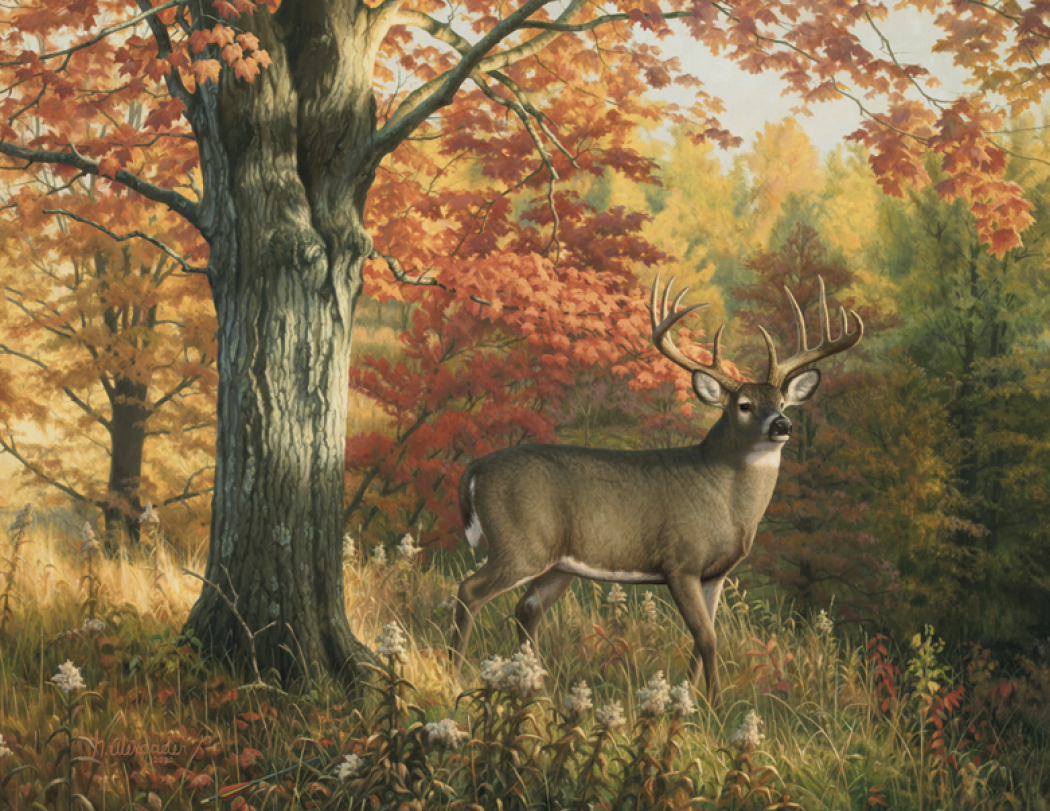 Good Value™ Wildlife Canvas - Stapled Calendar 29