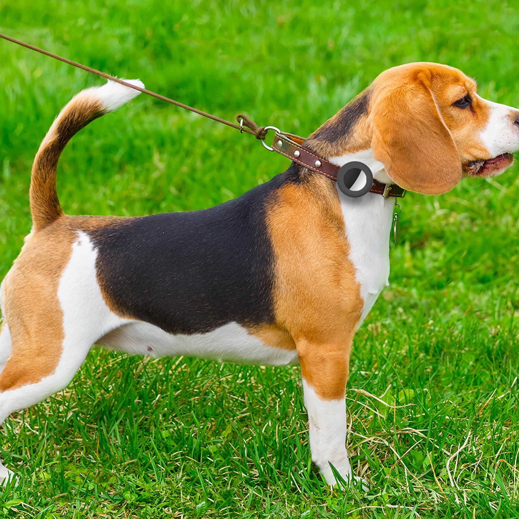 Pet Tracker Soft Shell Protector 6