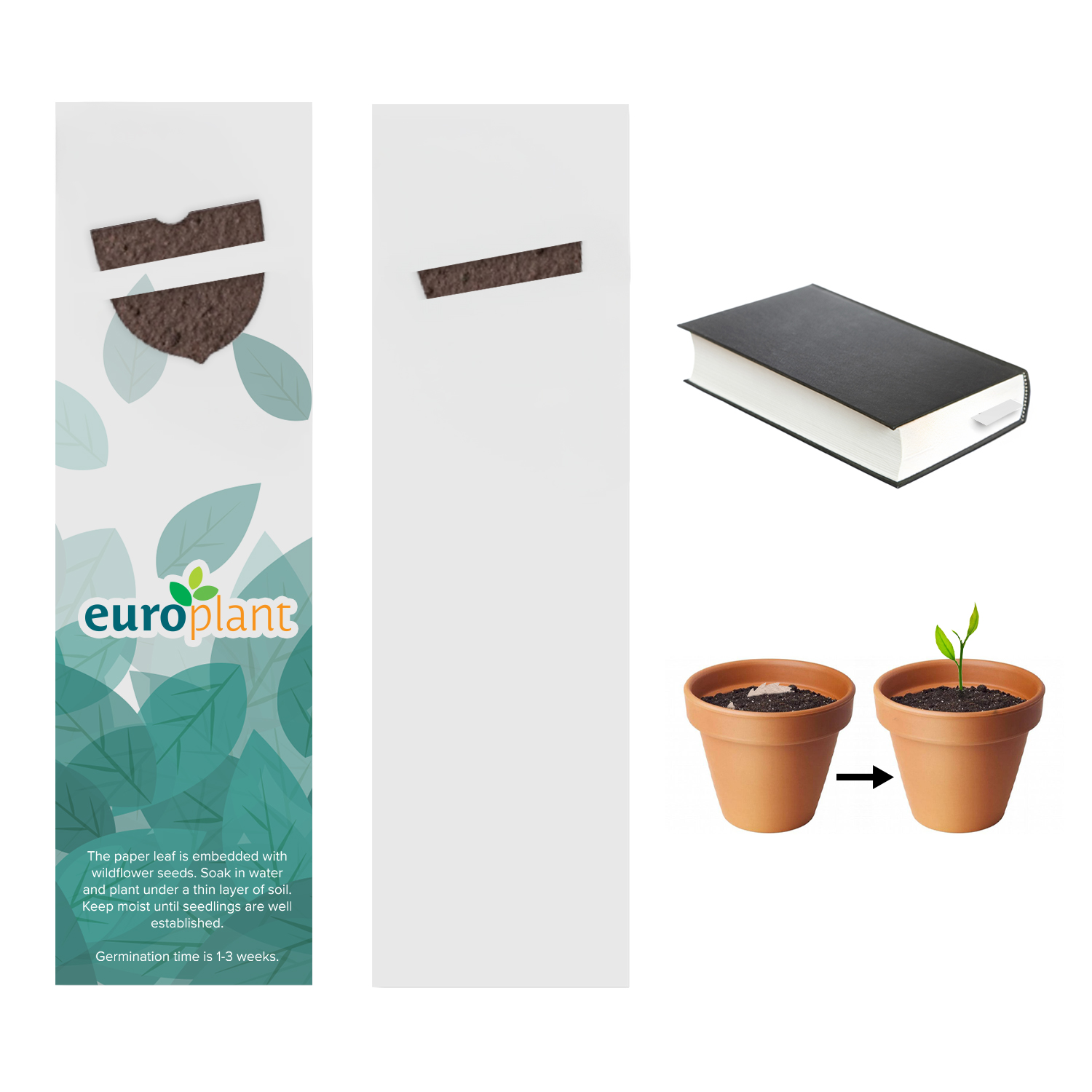 Plantable Bookmark 5