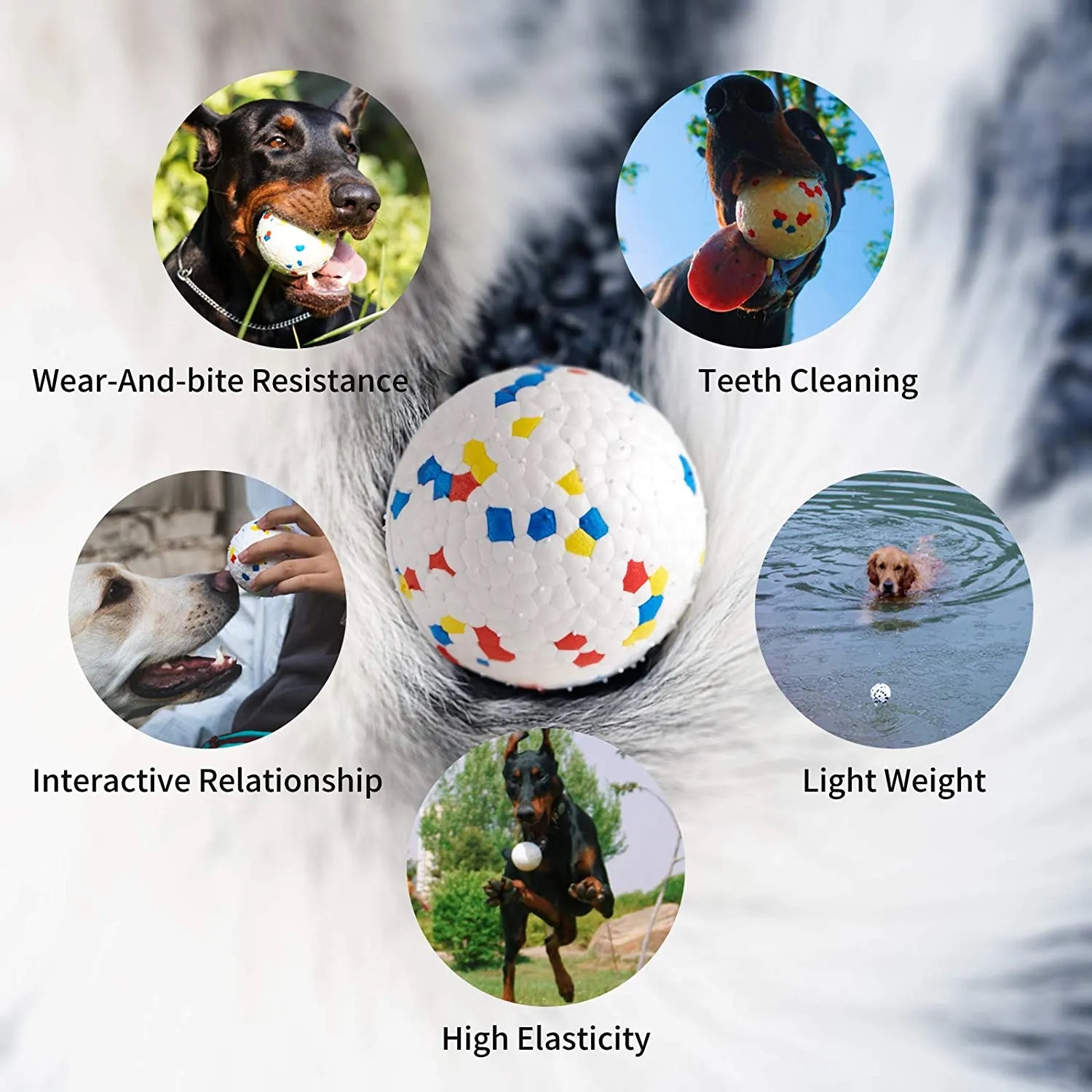 ETPU Bite Resistant Dog Ball 6