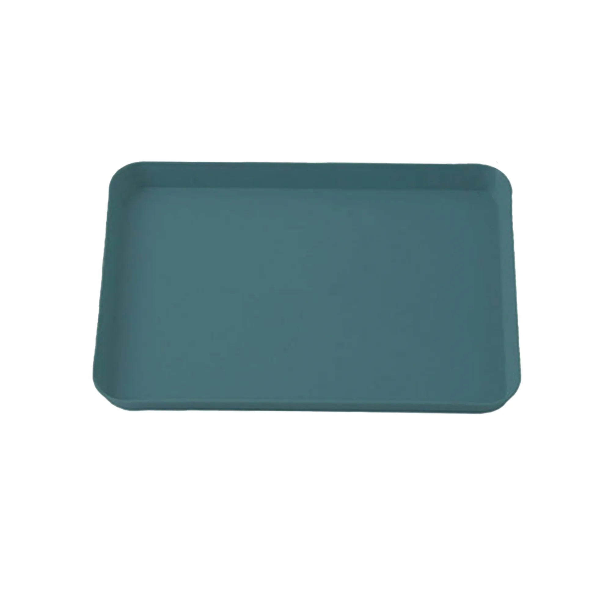 MOQ 10 Party Catering Food Tray Home Commercial Display 3
