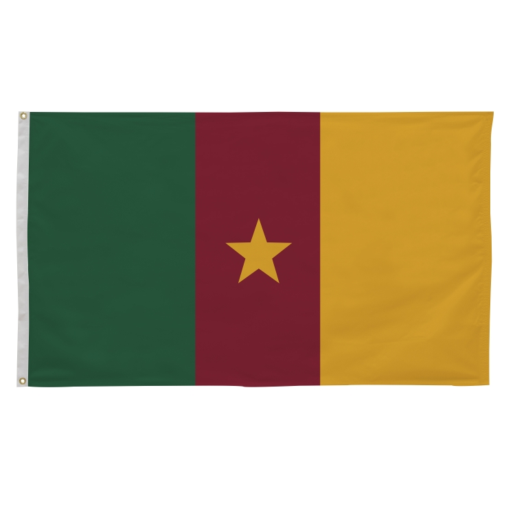 3' x 5' International Flags 248