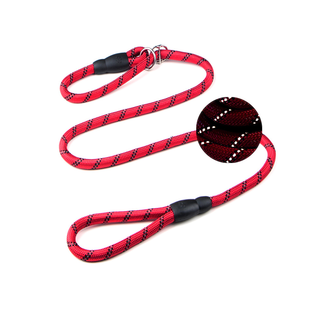 Pet Leash 5