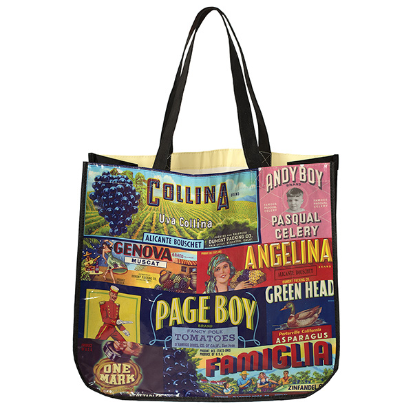 E-Z Import™ Shopping Tote 1