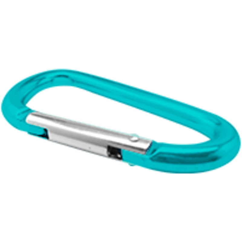 Carabiners 2