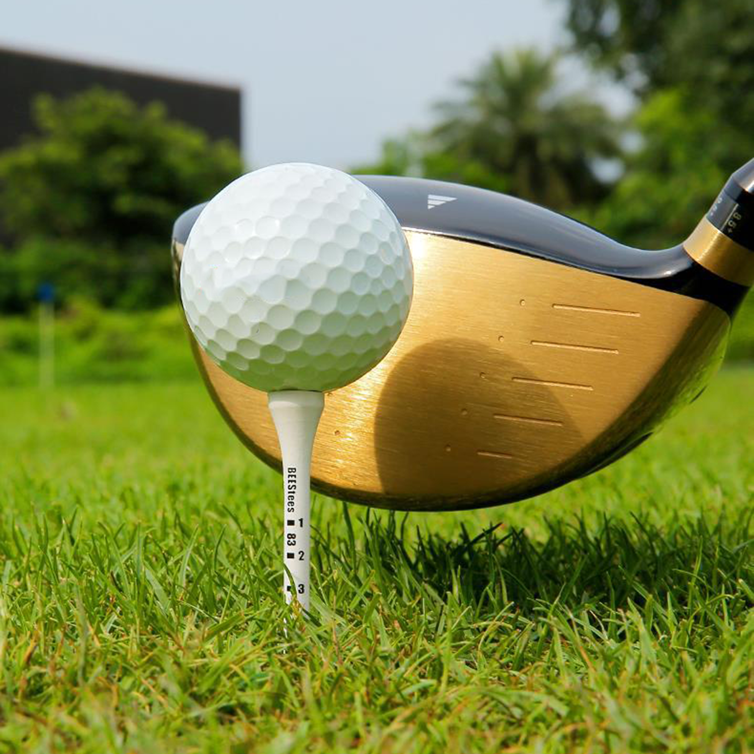 Less Friction Golf Tees 6
