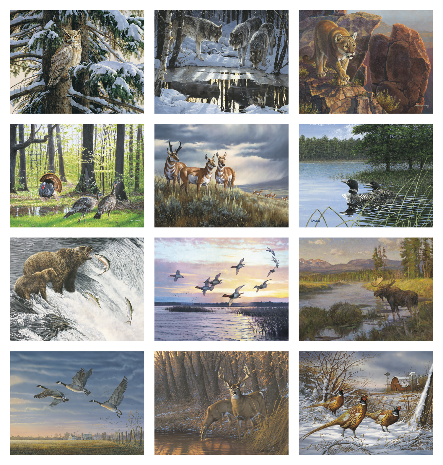 HotLine® Products Wildlife Collection Appointment Calendar - Stapled 55