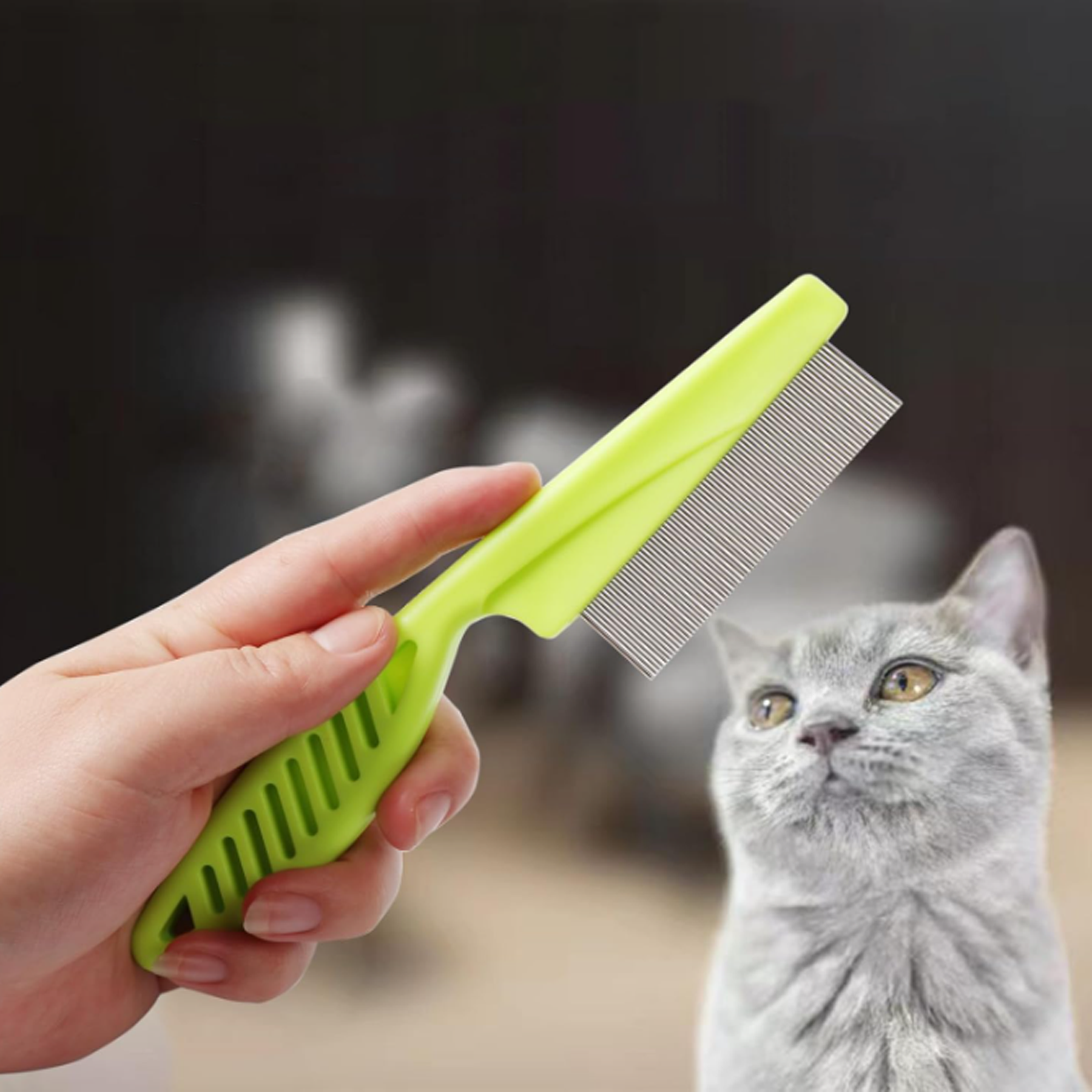 Pet Steel Needle Encryption Comb 4