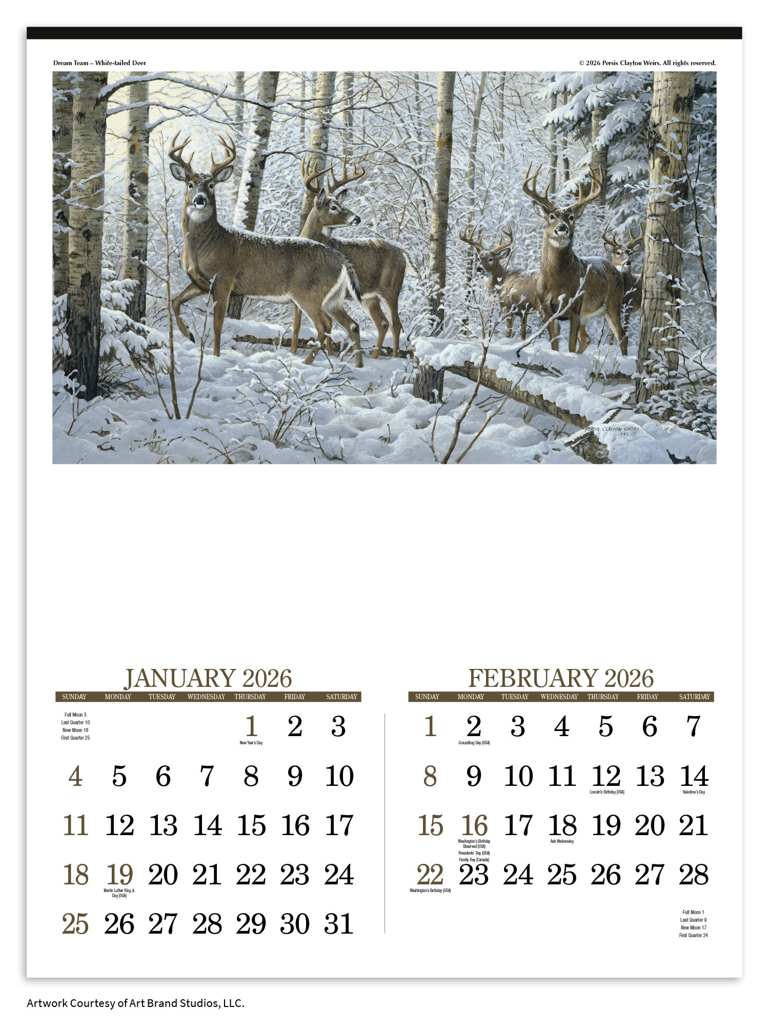 Triumph® Calendars Wildlife Art Calendar 16