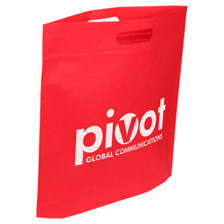 Echo Large Non-Woven Tote 3