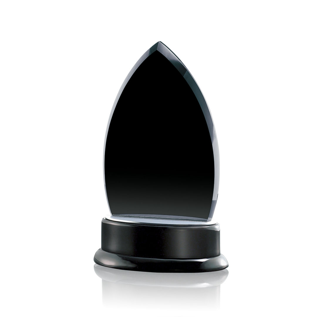 Thompson Award 6
