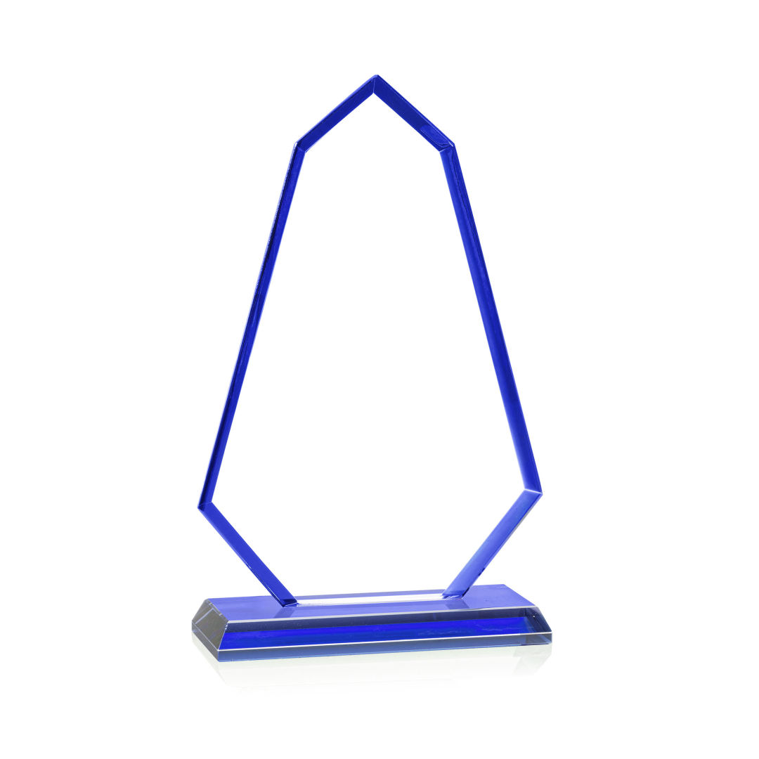 Pearson Award - Blue 4