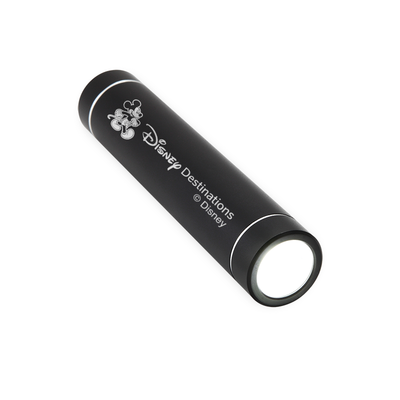 Edgebrook Flash Light Power Bank with UL Certified Battery 11