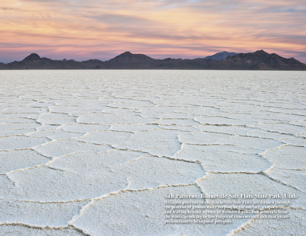 HotLine® Products Earth 16