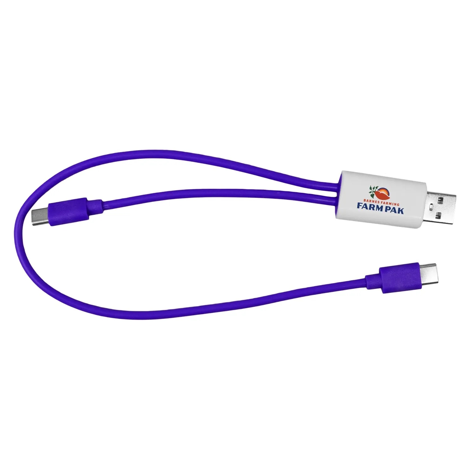Dual Input A + C to C Accent Cable 4