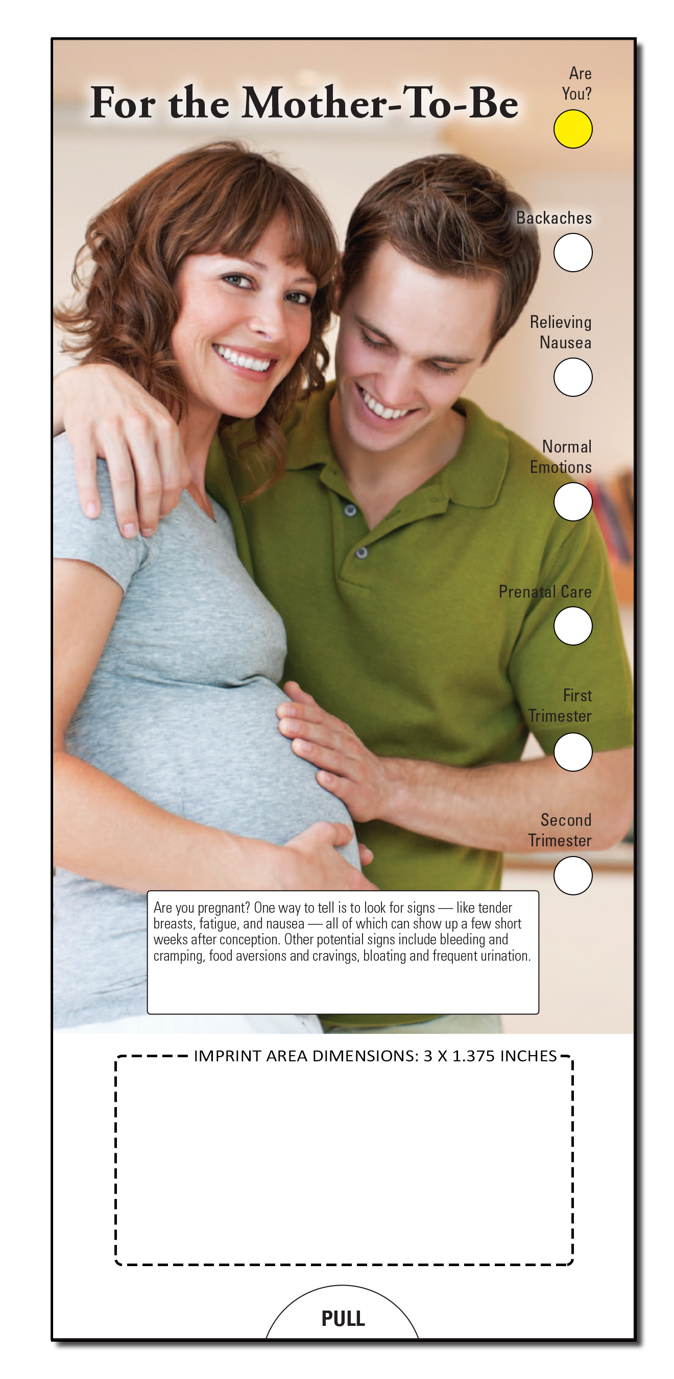 SLIDE CHART - For The Mother-To-Be Slide Chart 2