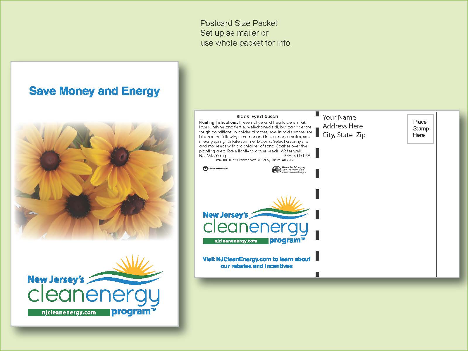 Black Eyed Susan Flower Seed Packet - Postcard Mailer Size 4" x 6.5" 2