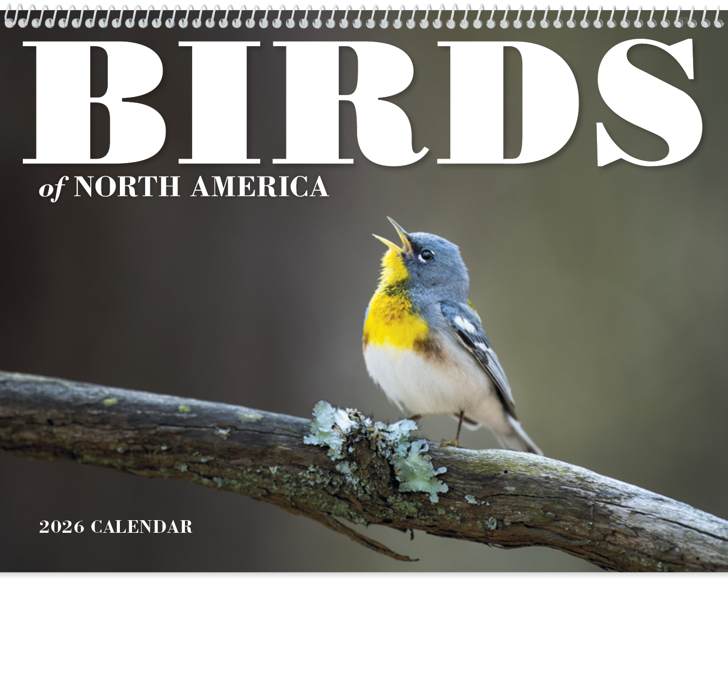 Good Value™ Birds of North America - Spiral Calendar 1