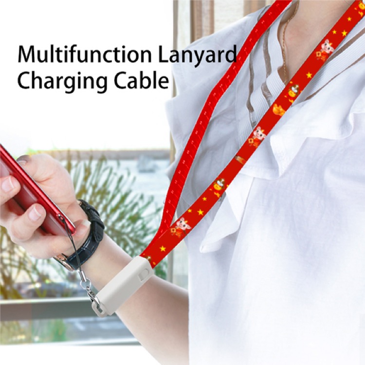 6 in 1 Lanyard Charging Cable 3