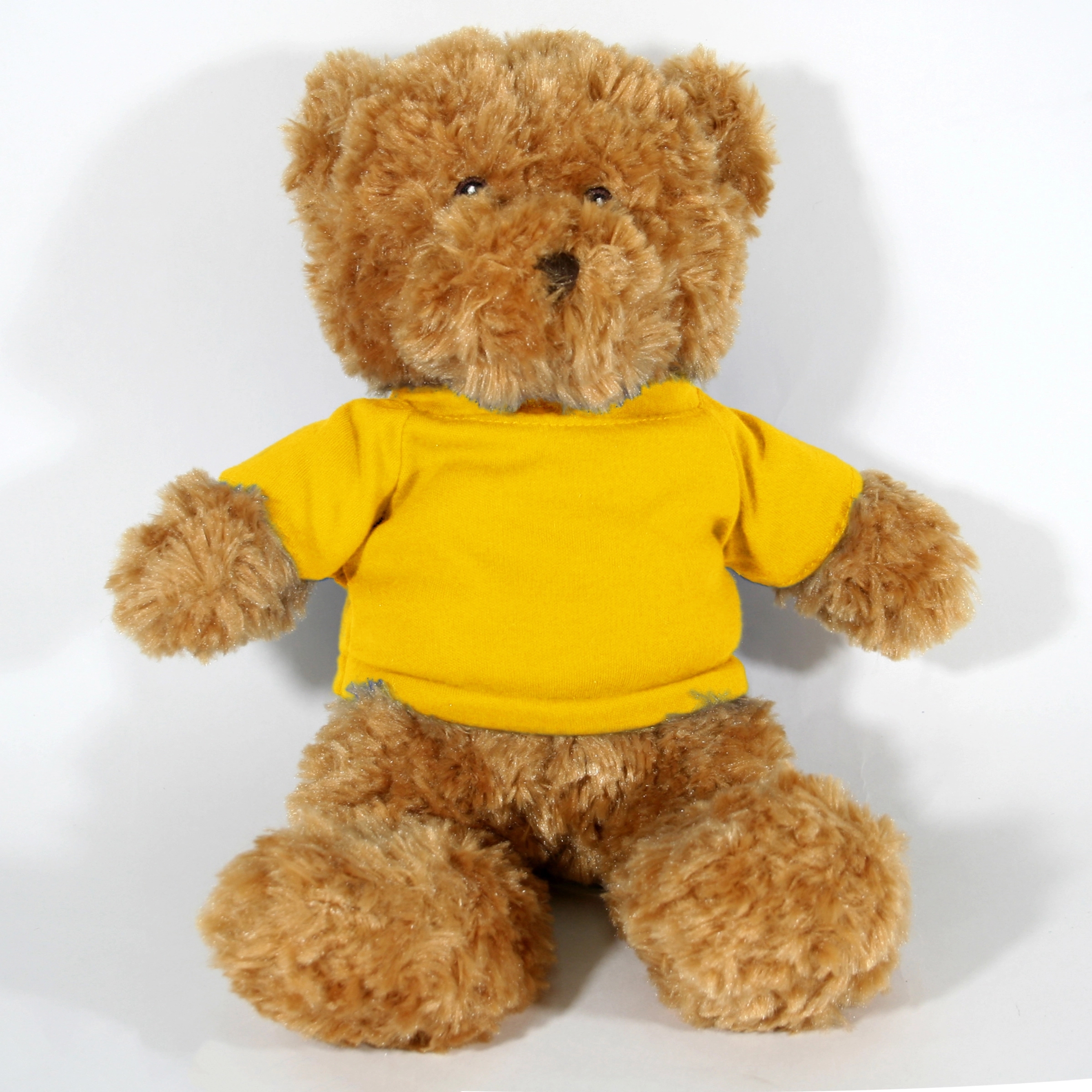 12" Golden Bear 6