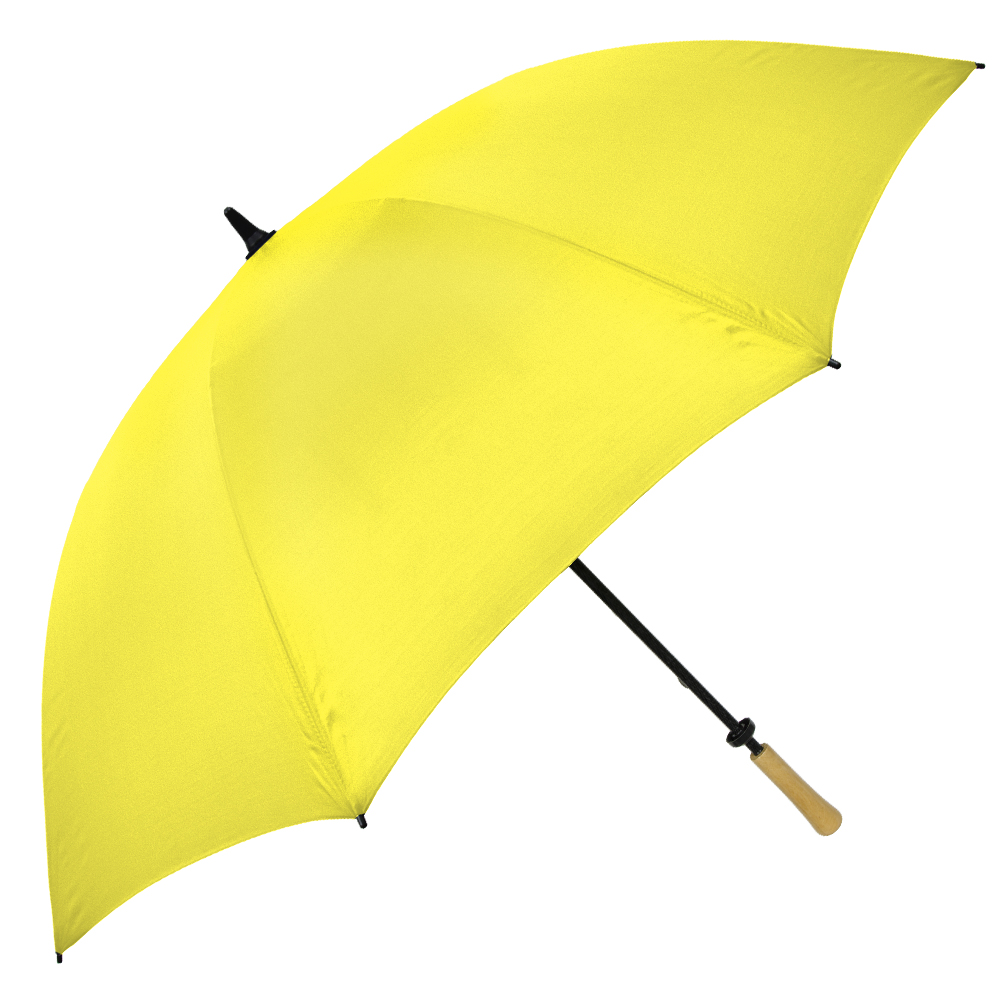 The Hole-In-One Golf Umbrella
