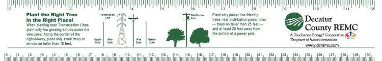Plastic Rulers