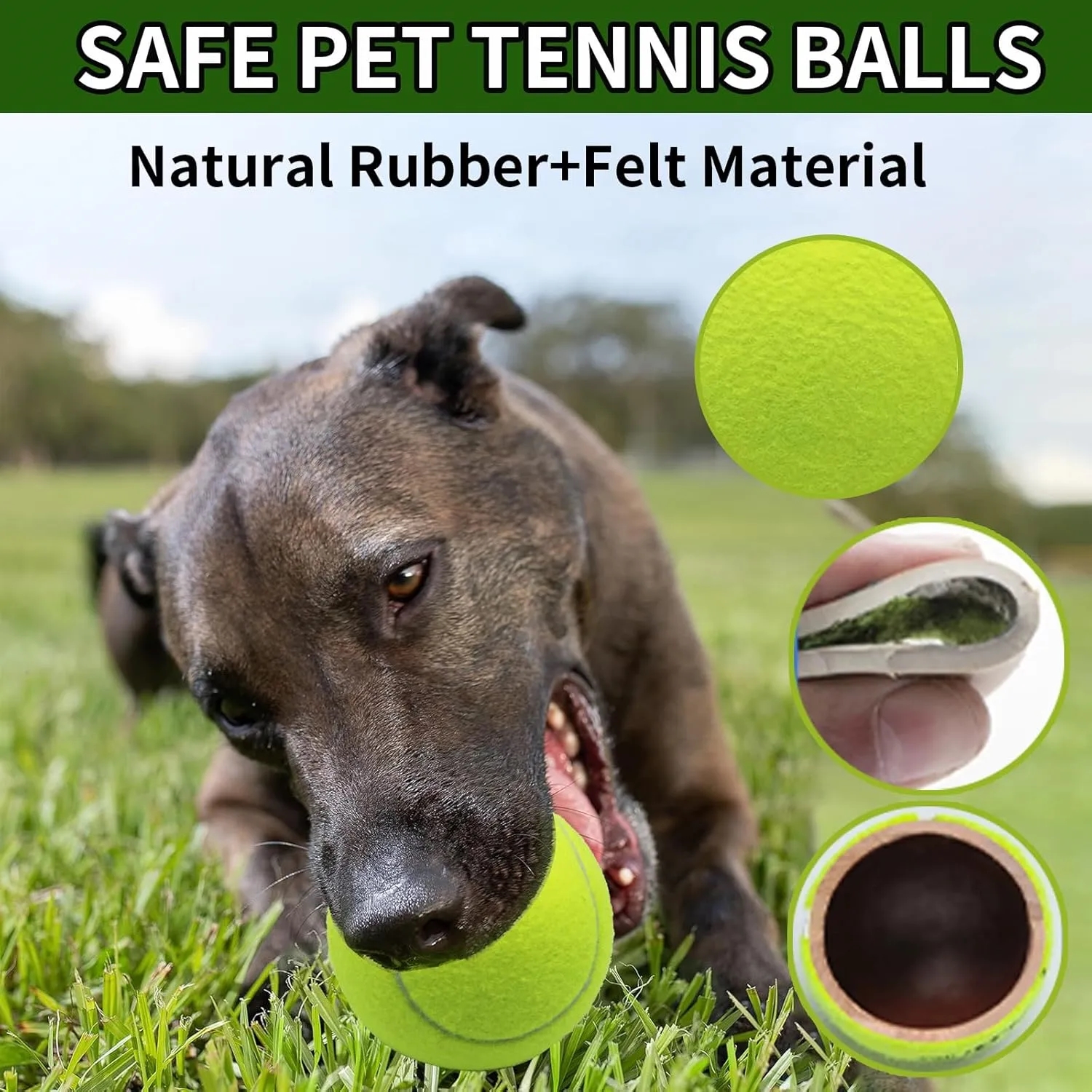 Dog Toy Tennis Balls 3