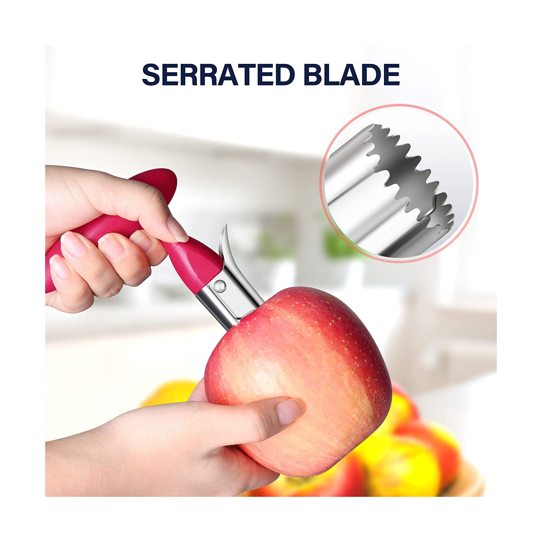 Stainless Steel Apple Corer Fruit Corer Pitter 3