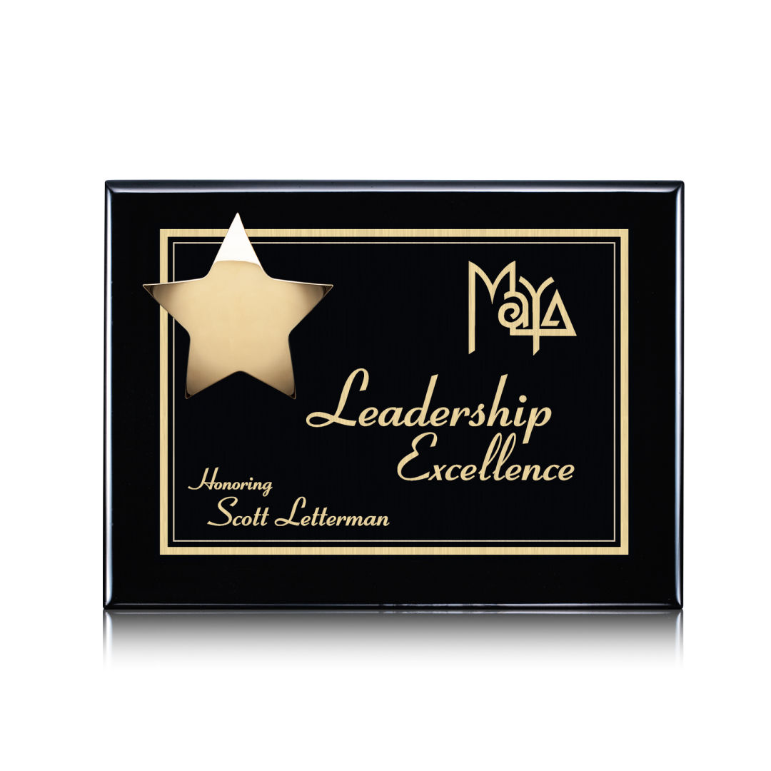 Hollister Plaque - Black/Gold 5