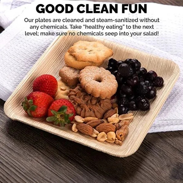 Wholesale Eco-Friendly Palm Leaf Plates 4