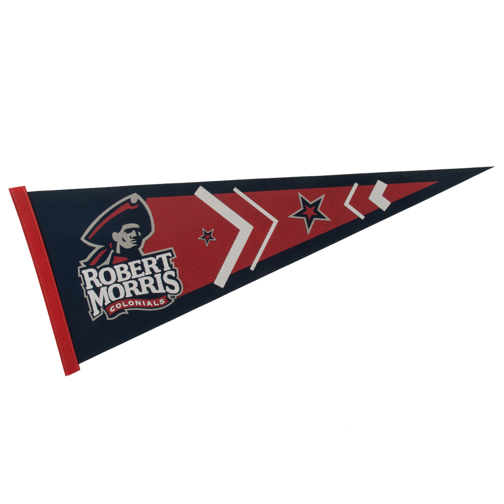 12" x 30" Colored Felt Pennant 1