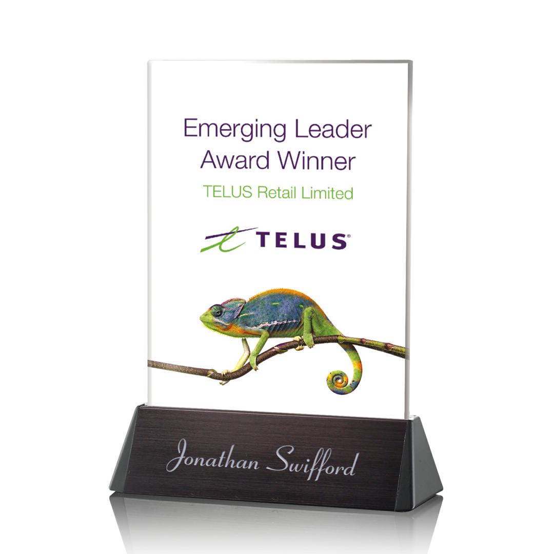 Sierra Rectangle VividPrint™ Award 9