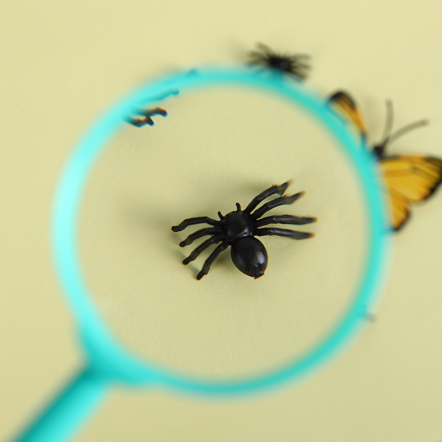 Plastic Handheld Magnifying 5