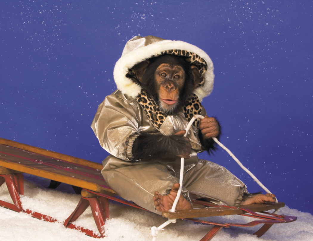 Good Value™ Monkey Mischief - Stapled Calendar 62