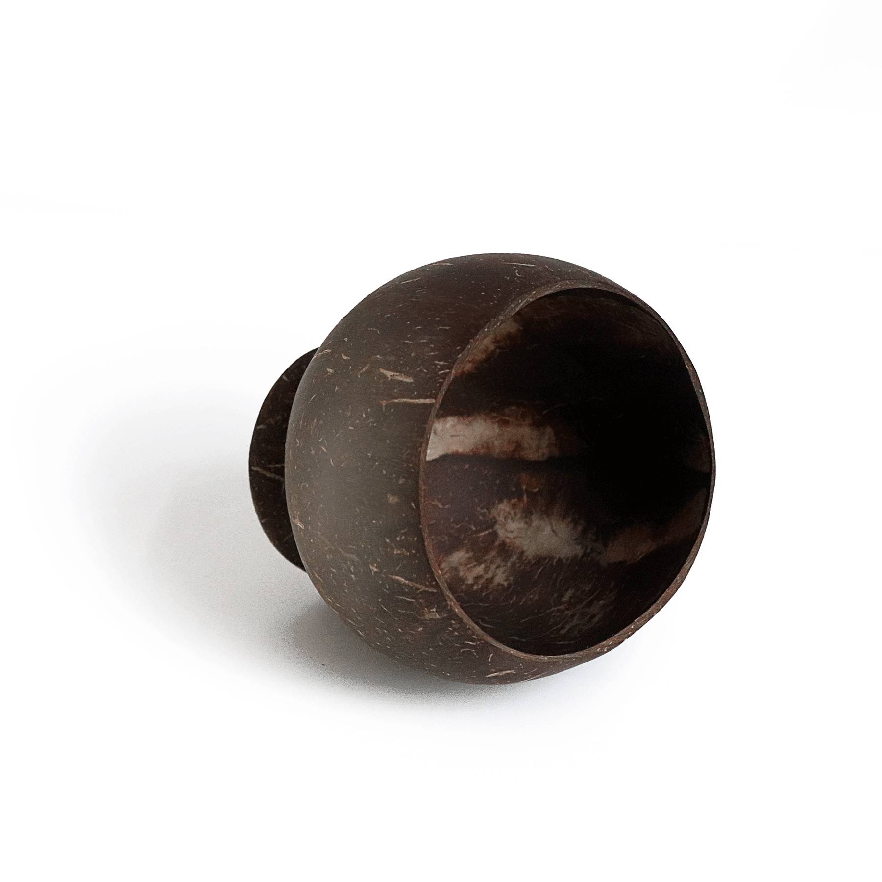 16 Oz. Coconut Gobles Shell Cups 4